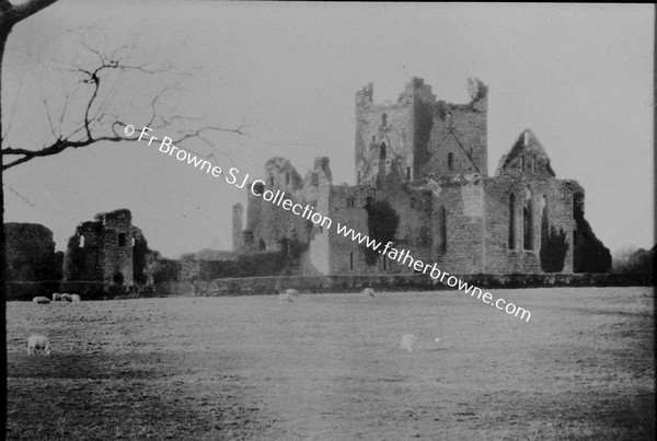 CISTERCIAN ABBEYS ALBUM  DUNBRODY ABBEY  1182  PAGE 32